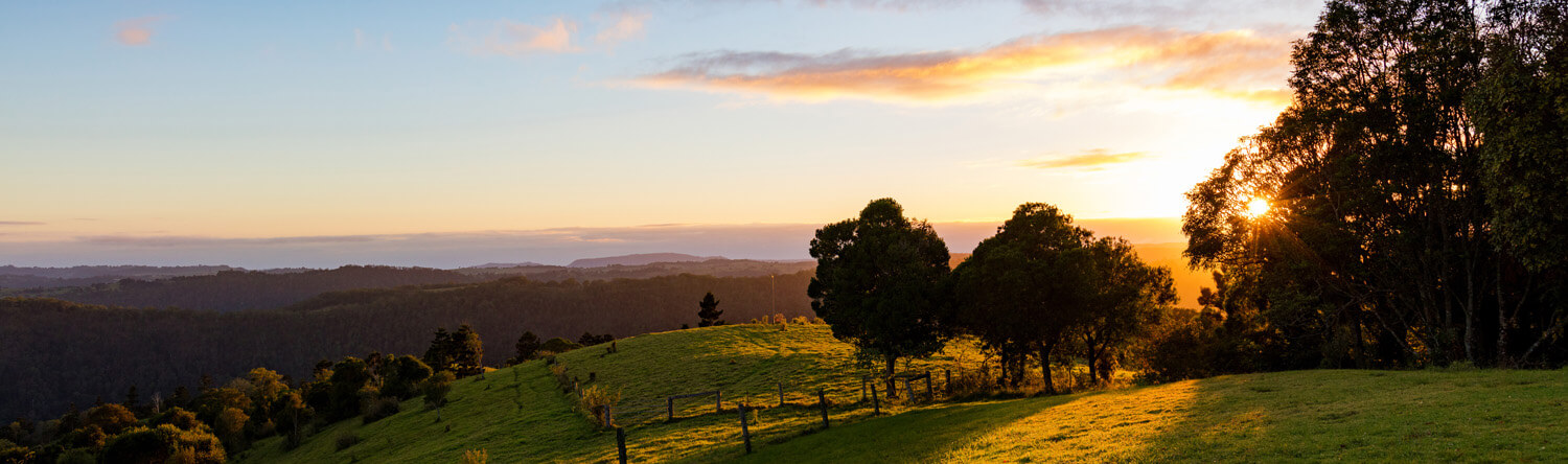 Kamarun Lookout Lamington National Park (1)