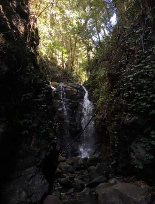 Aci Canungra Scenic Rim